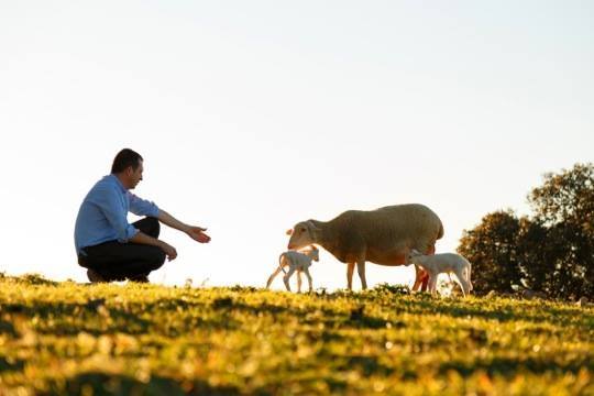 12341154_10205545882546234_2022582577565022047_n