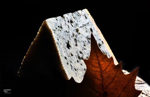 12594013_951634668263726_467507581515544667_o