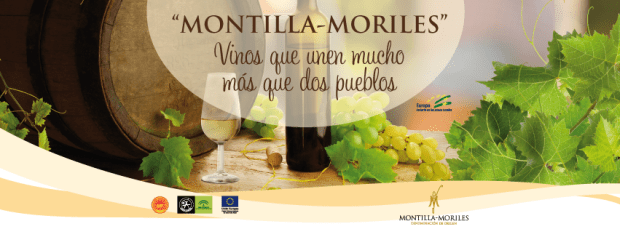 consejo regulador 01