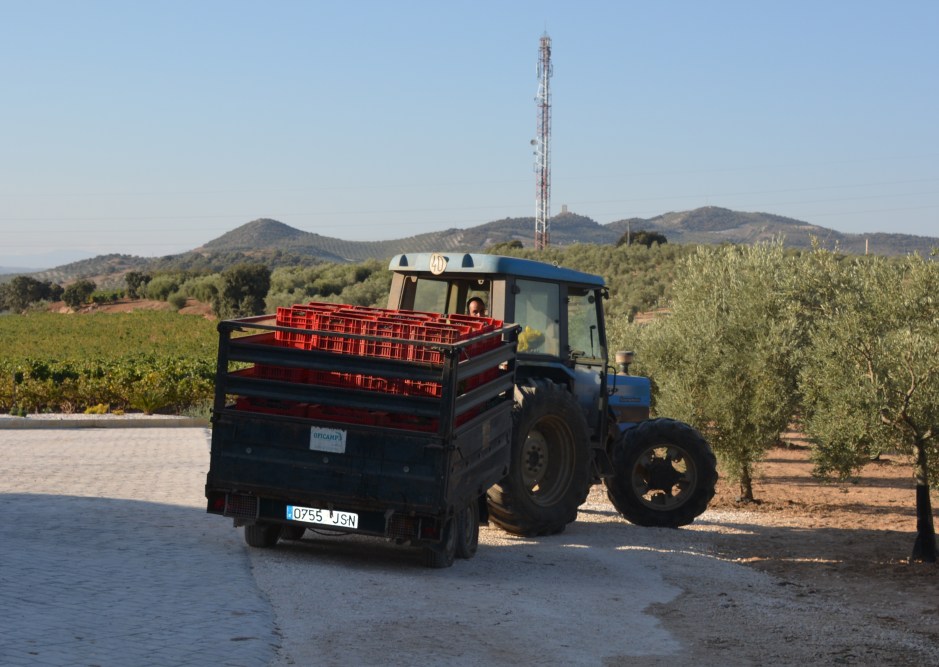 descarga-en-el-lagar