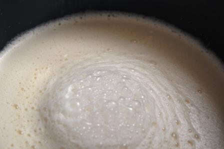 levadura-seleccionada