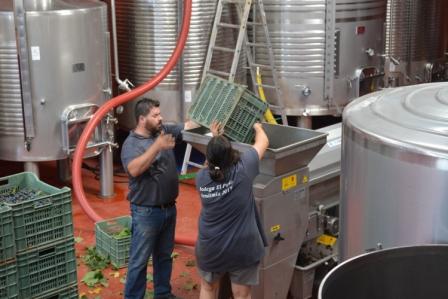 descarga-en-la-trituradora