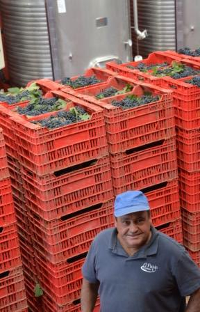 descarga-en-el-lagar-con-jesús-jurado